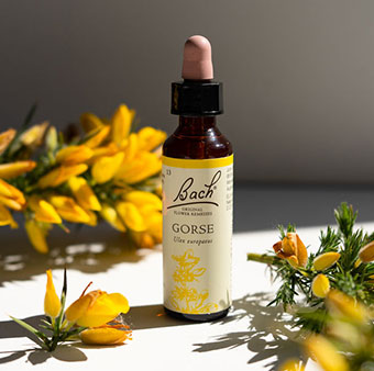 Sample bottle